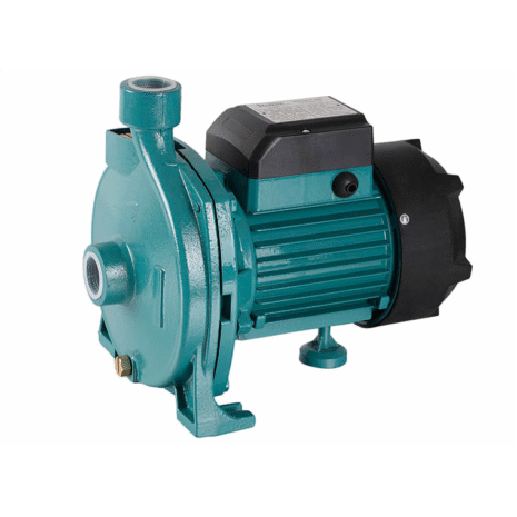 -moto-pompe-1-cv-rf-cpm158-ds- -moto-pompe-1-cv-rf-cpm158-ds-